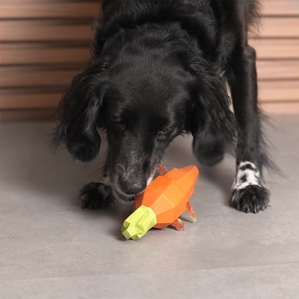 SUPERVEGGIEZ CARROT