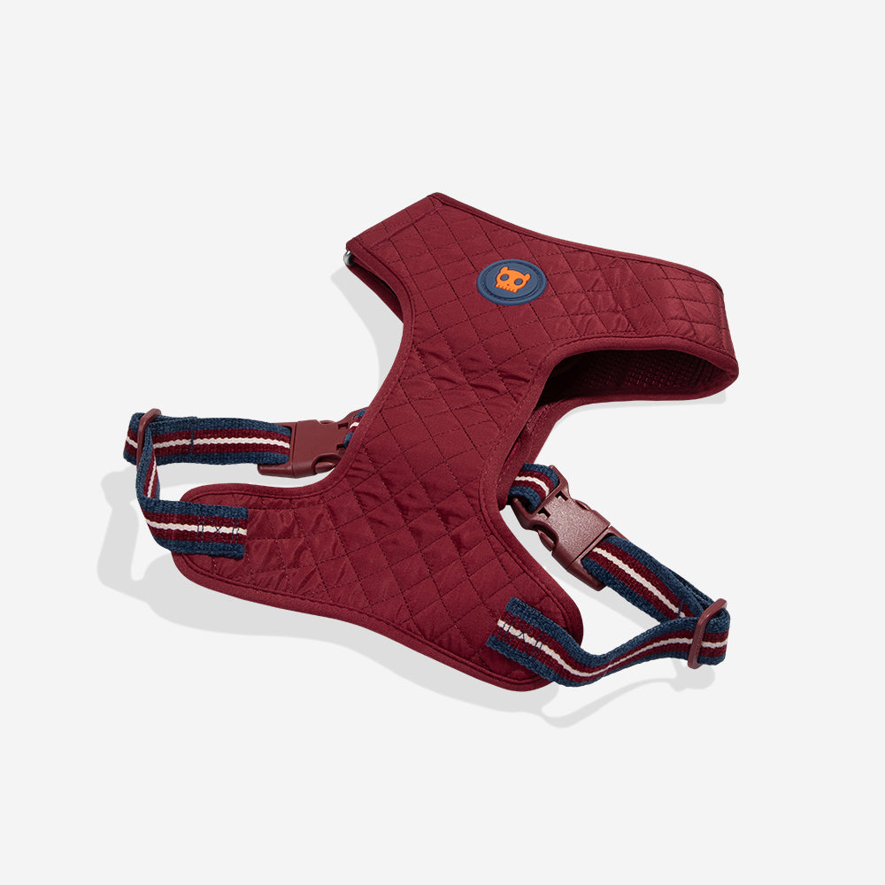 Velvet Vibes Dropout Adjustable Air Mesh