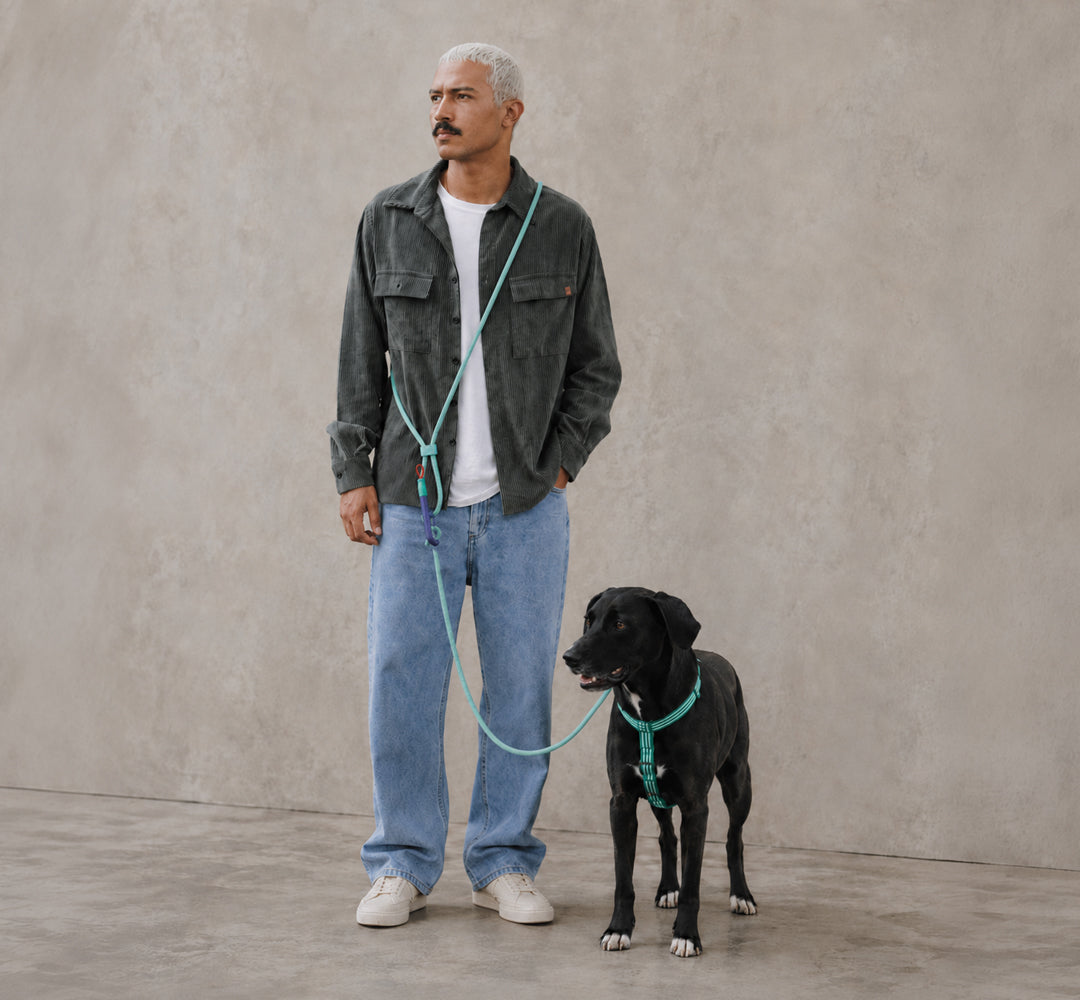 Velvet Vibes Vert Handsfree Leash