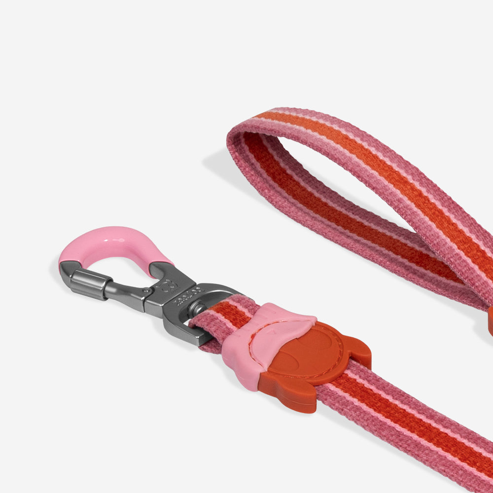 Velvet Vibes Courtney Leash