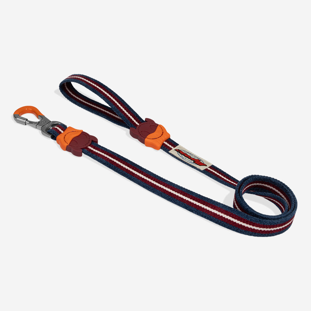 Velvet Vibes Dropout Leash