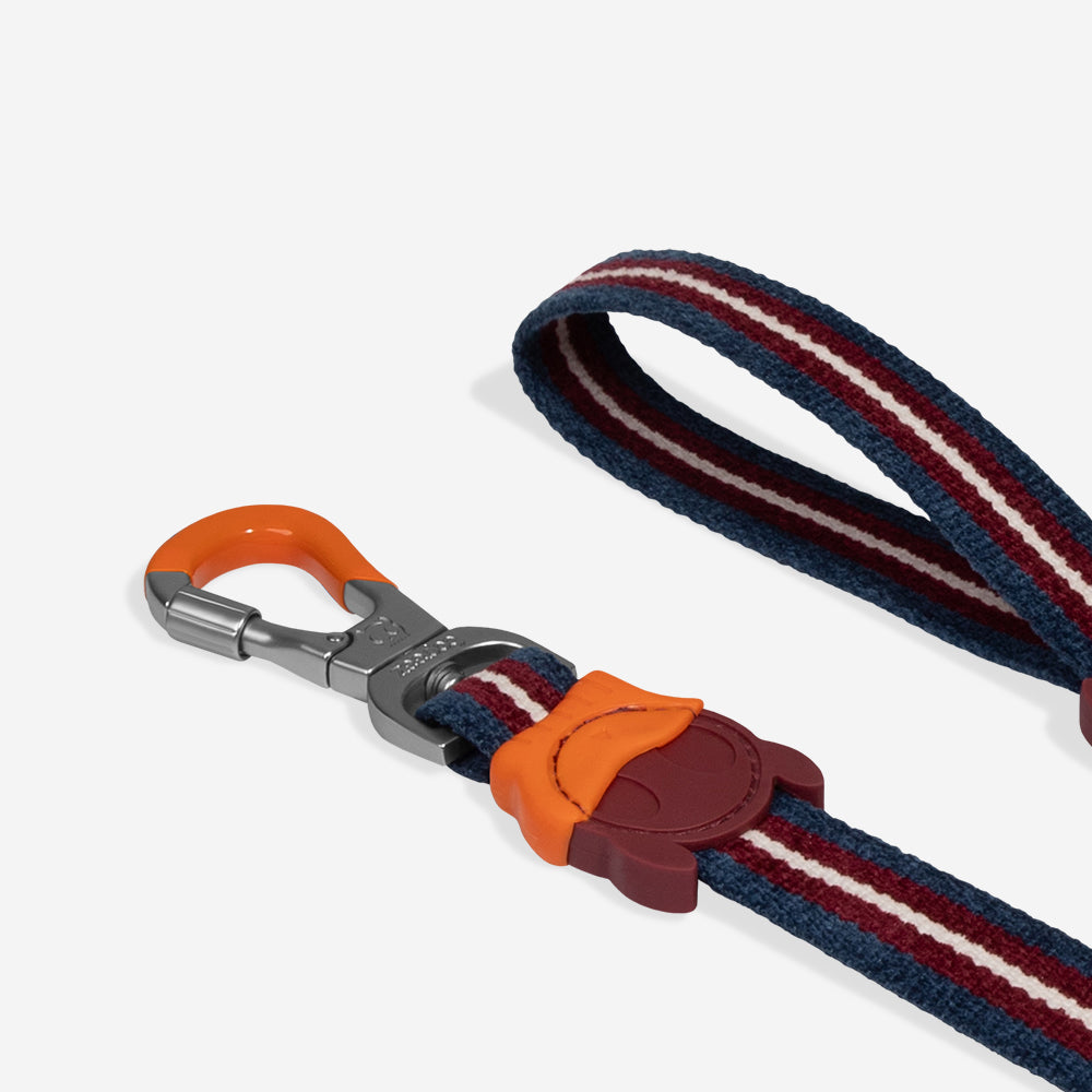 Velvet Vibes Dropout Leash