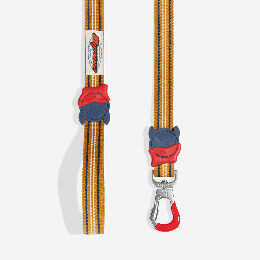 Velvet Vibes Misfit Leash