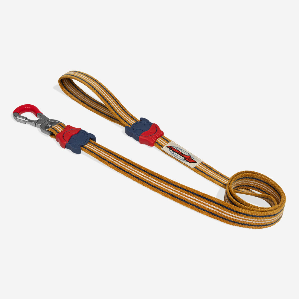 Velvet Vibes Misfit Leash