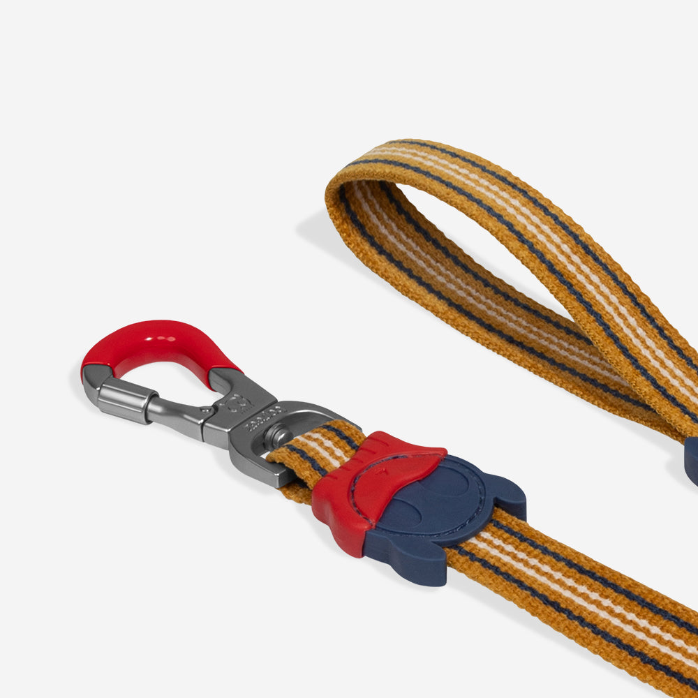Velvet Vibes Misfit Leash
