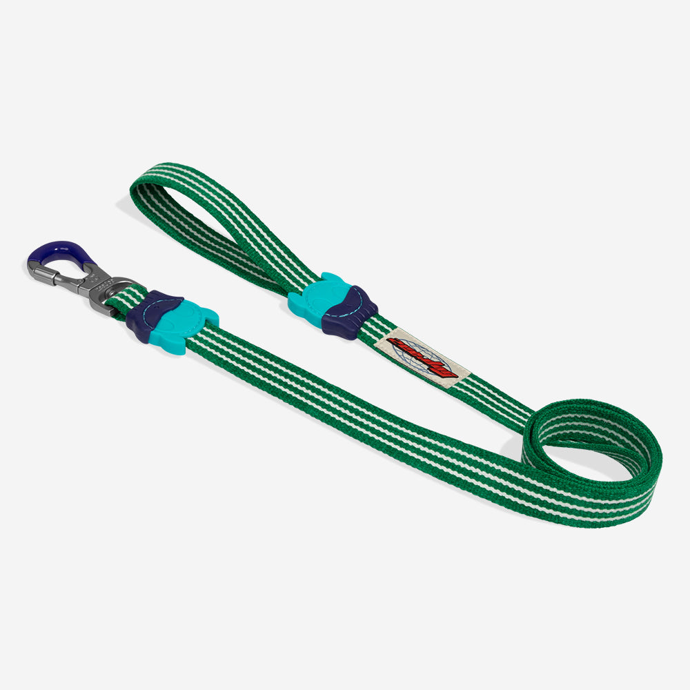 Velvet Vibes Vert Leash