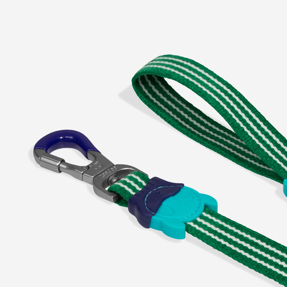 Velvet Vibes Vert Leash