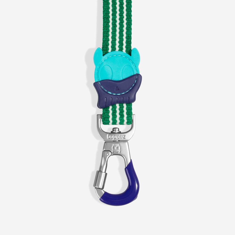 Velvet Vibes Vert Leash