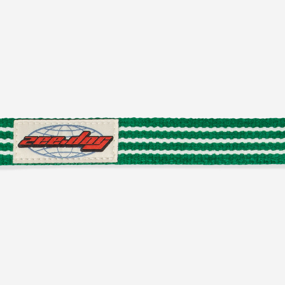 Velvet Vibes Vert Leash
