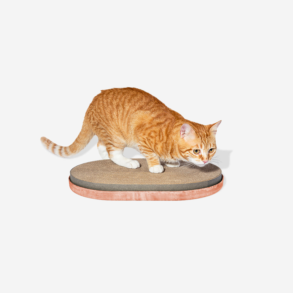 SCRATCHER CITRUS