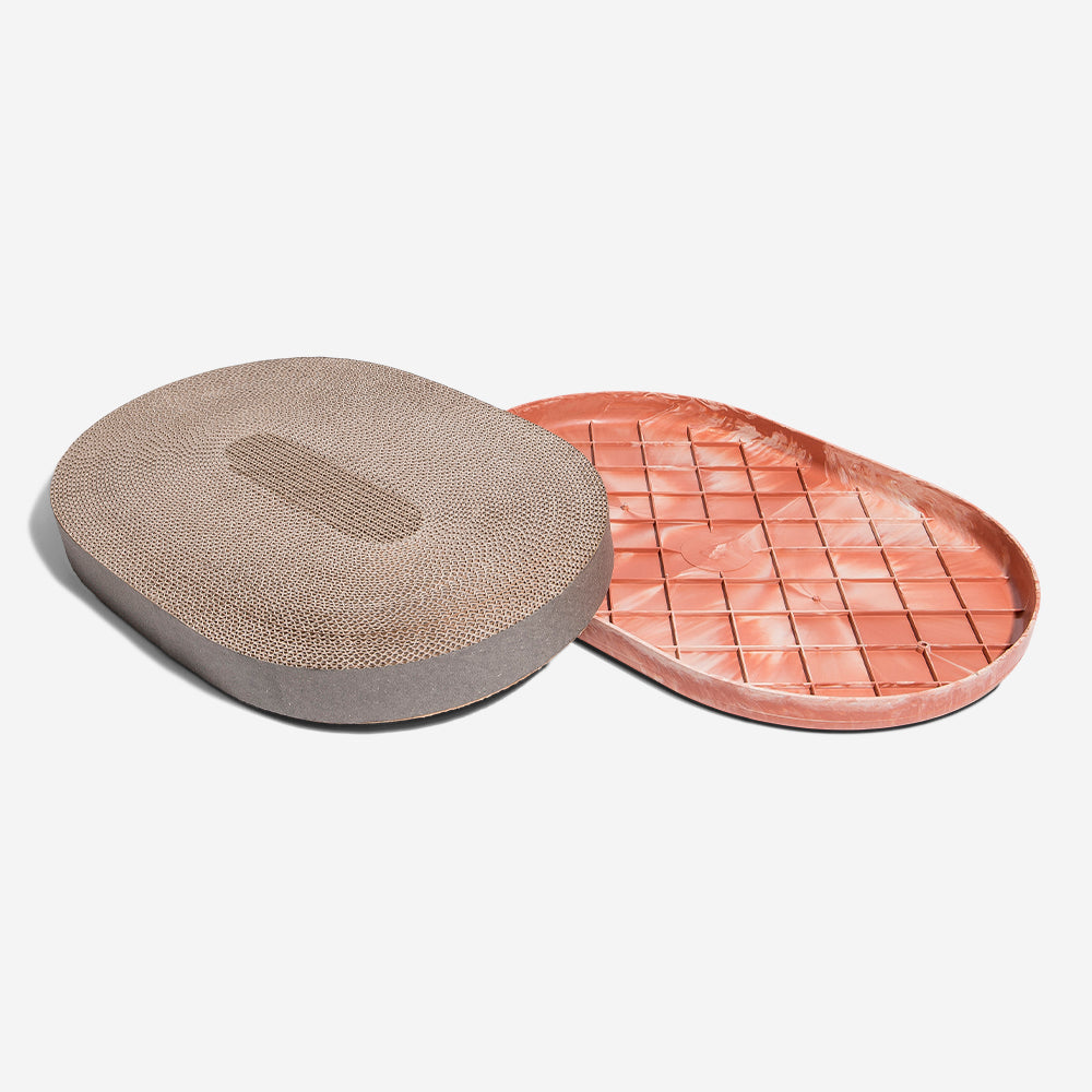 SCRATCHER CITRUS