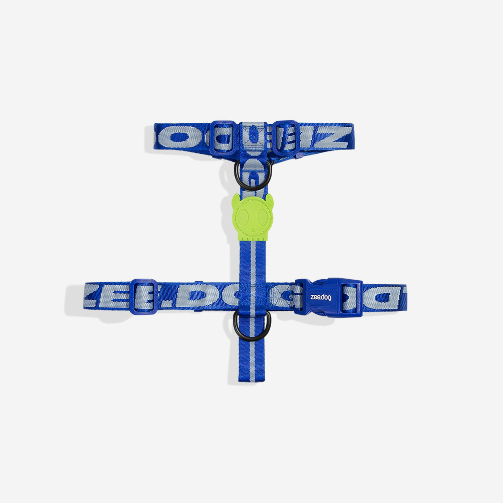 ASTRO H-HARNESS