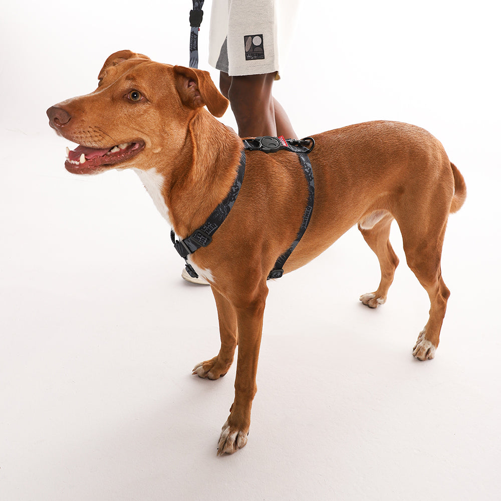 BLACK PANTHER H-HARNESS