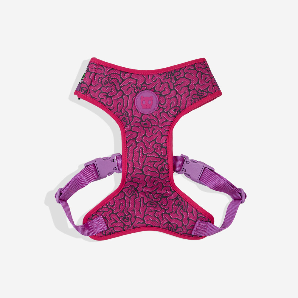 LORDS OF ZEE.TOWN BRAIN AIR MESH HARNESS