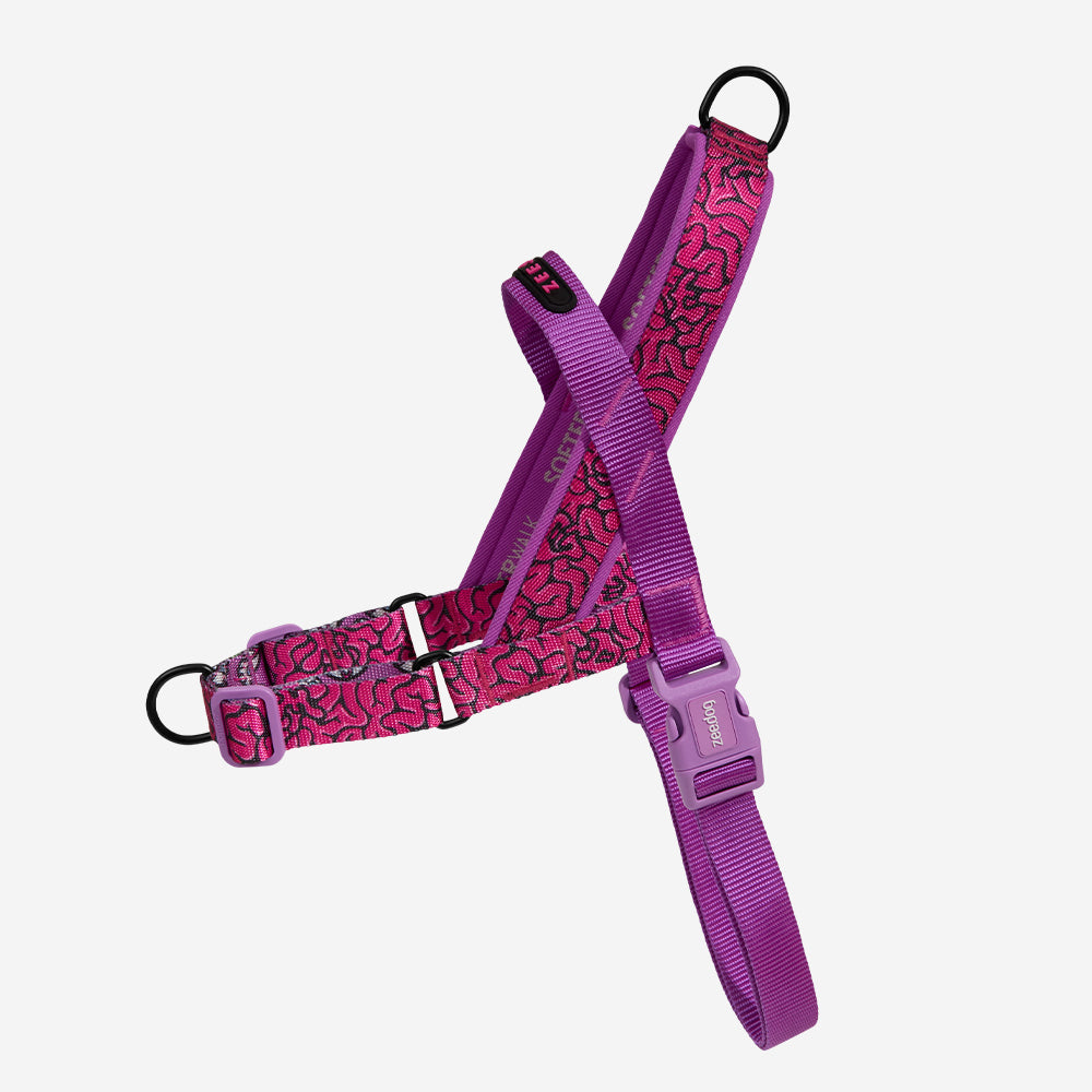 LORDS OF ZEE.TOWN BRAIN SOFTER WALK HARNESS