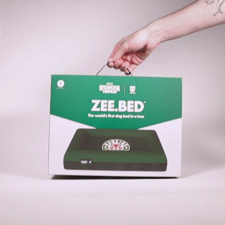 ZEE.BED HAWKINS STRANGER THINGS