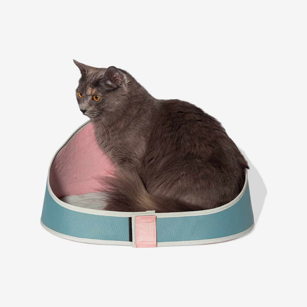 ZEE.CAT BED KOMBUCHA