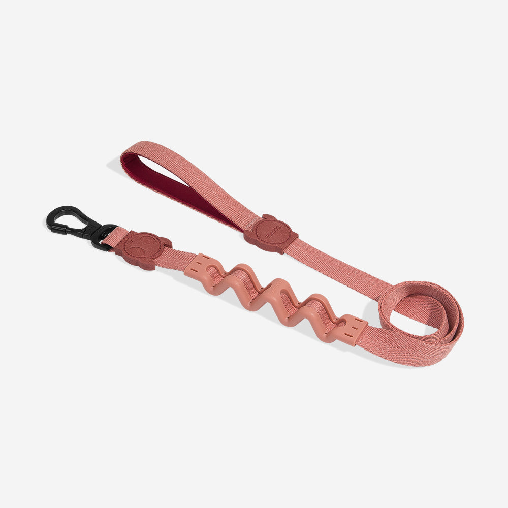 CANYON RUFF LEASH