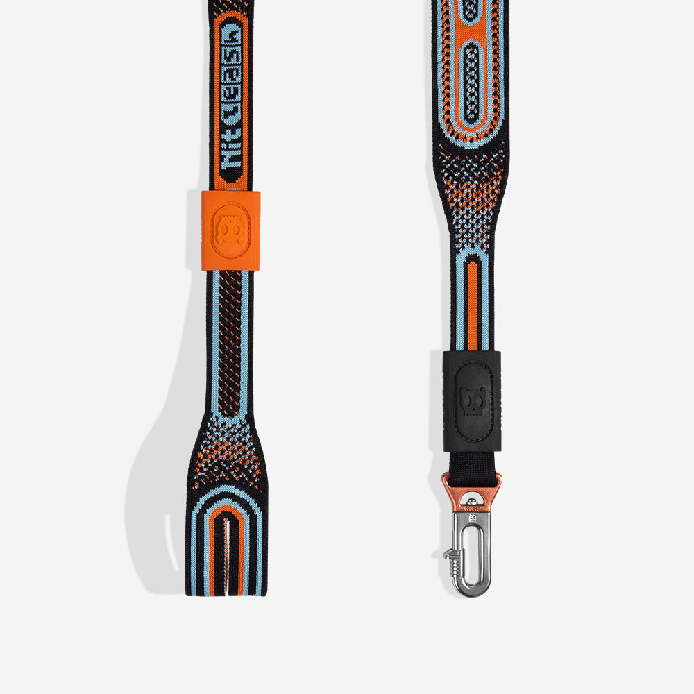CHRON NIT LEASH
