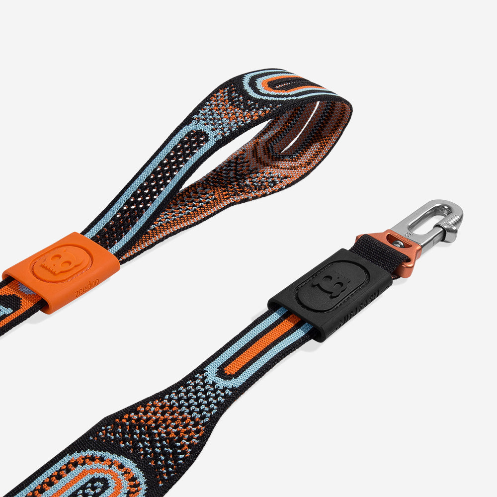 CHRON NIT LEASH