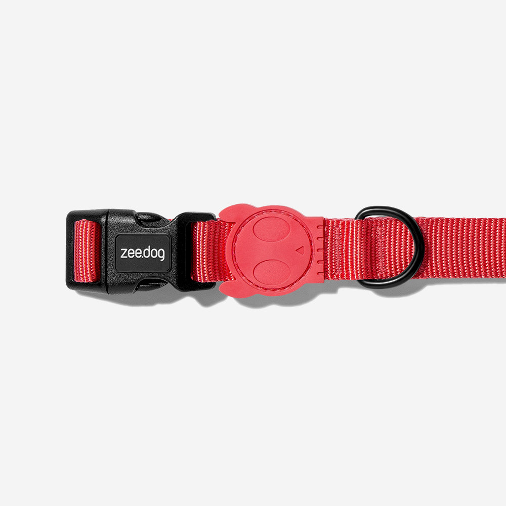 NEON CORAL COLLAR