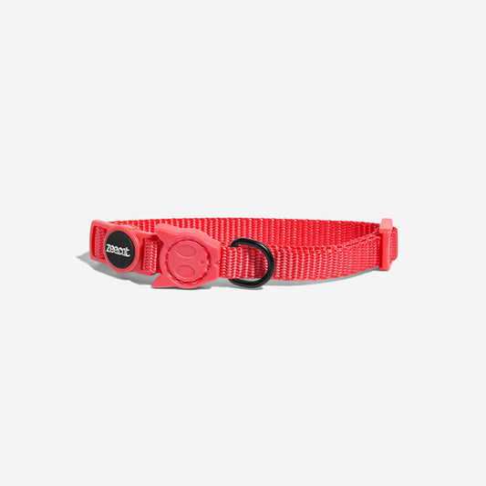 NEON CORAL CAT COLLAR