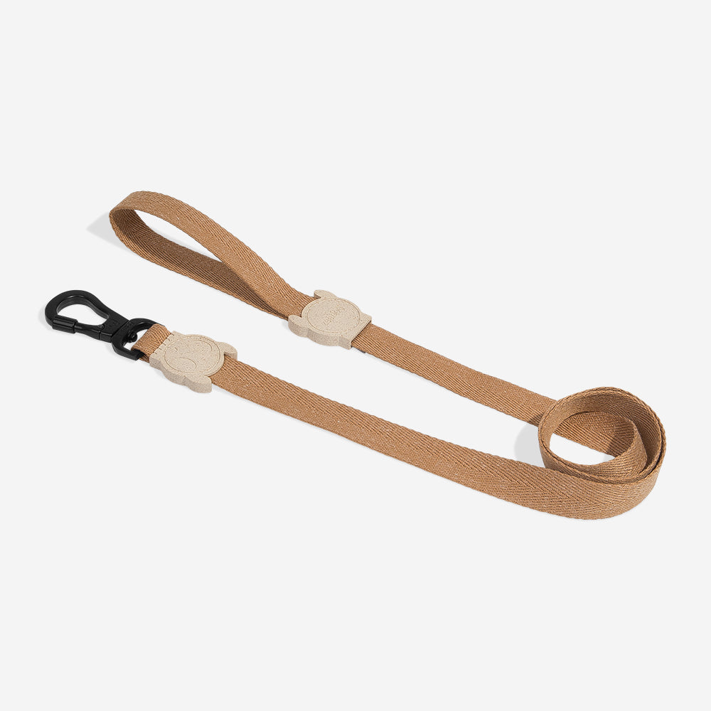 DUNE LEASH