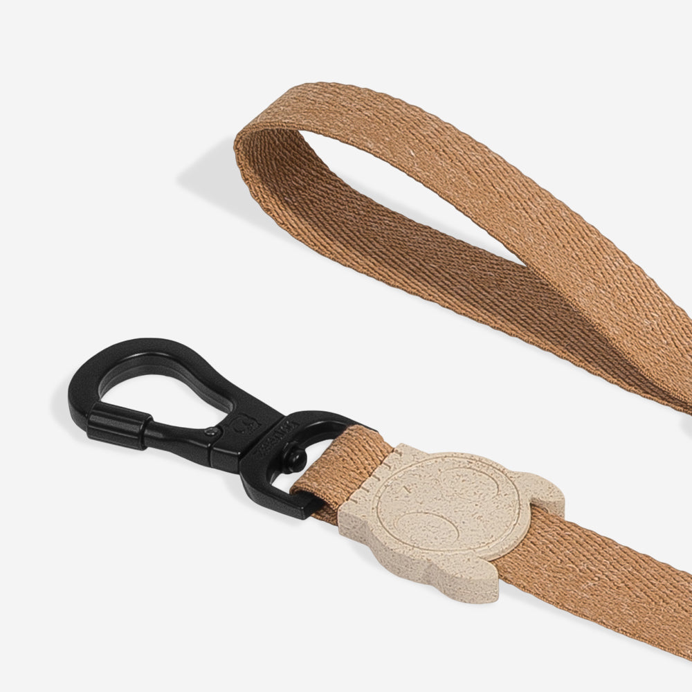 DUNE LEASH