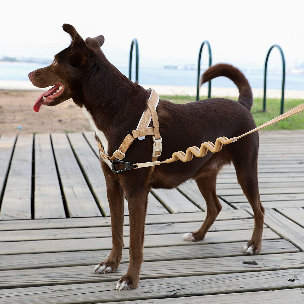 DUNE SOFTER WALK HARNESS