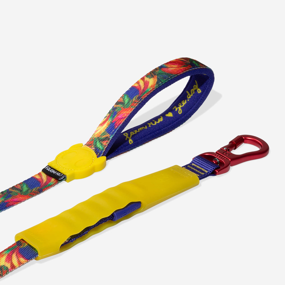 Farm Samba Air Leash