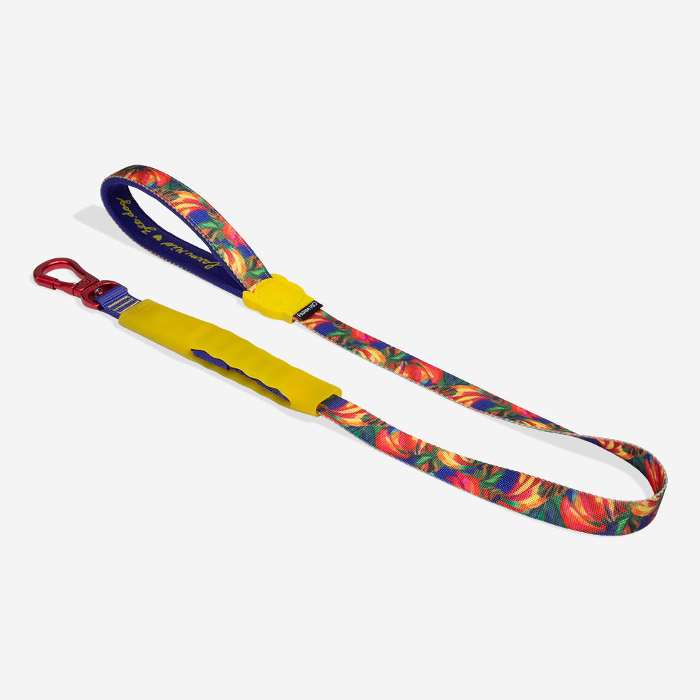 Farm Samba Air Leash