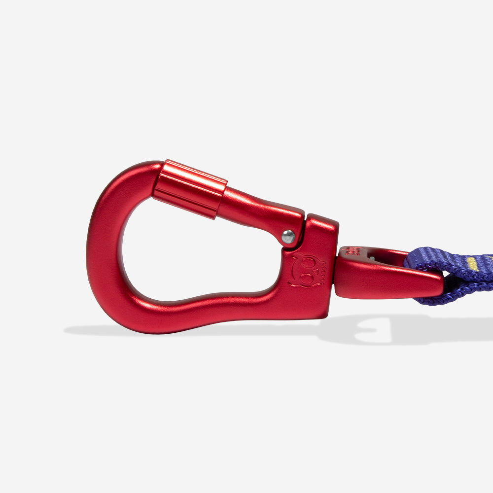 Farm Samba Air Leash
