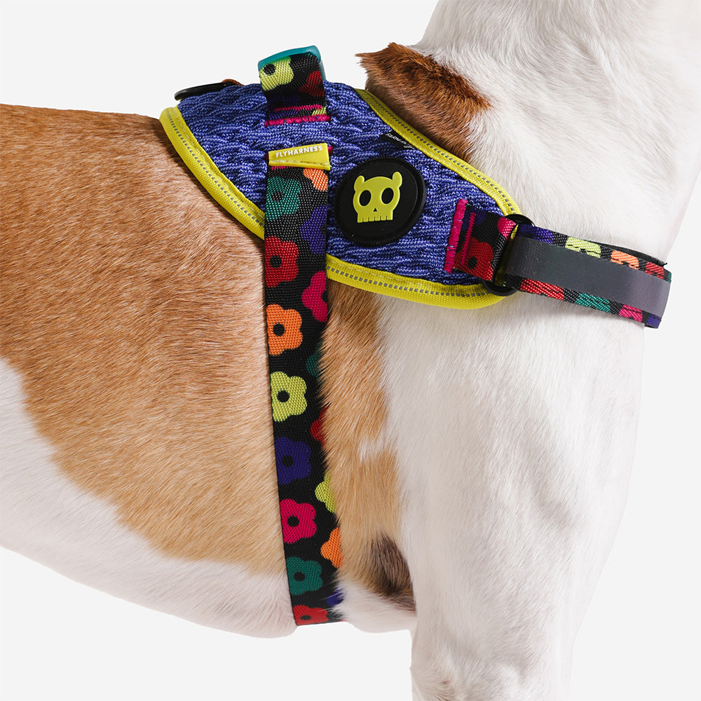 Farm Samba Flyharness