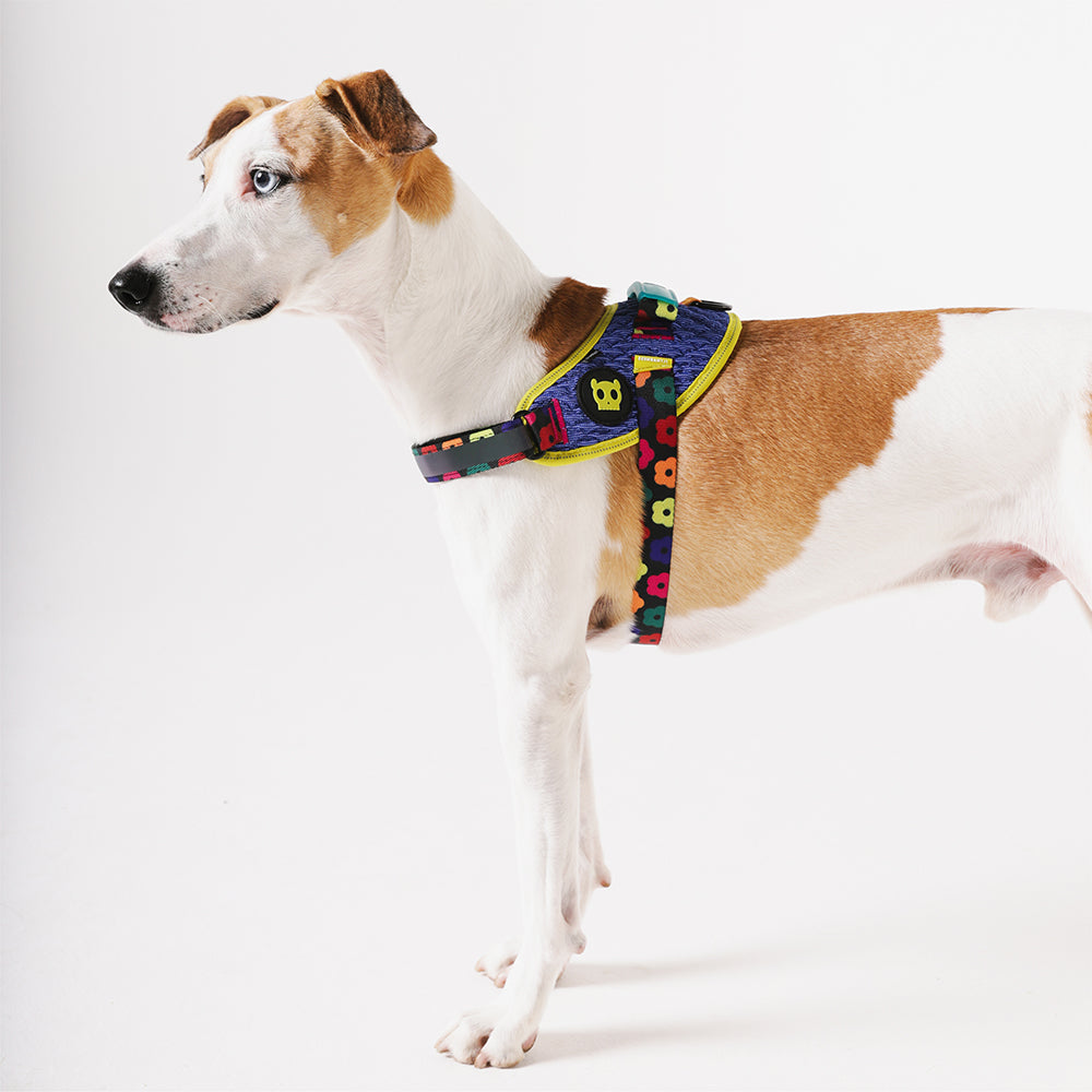 Farm Samba Flyharness