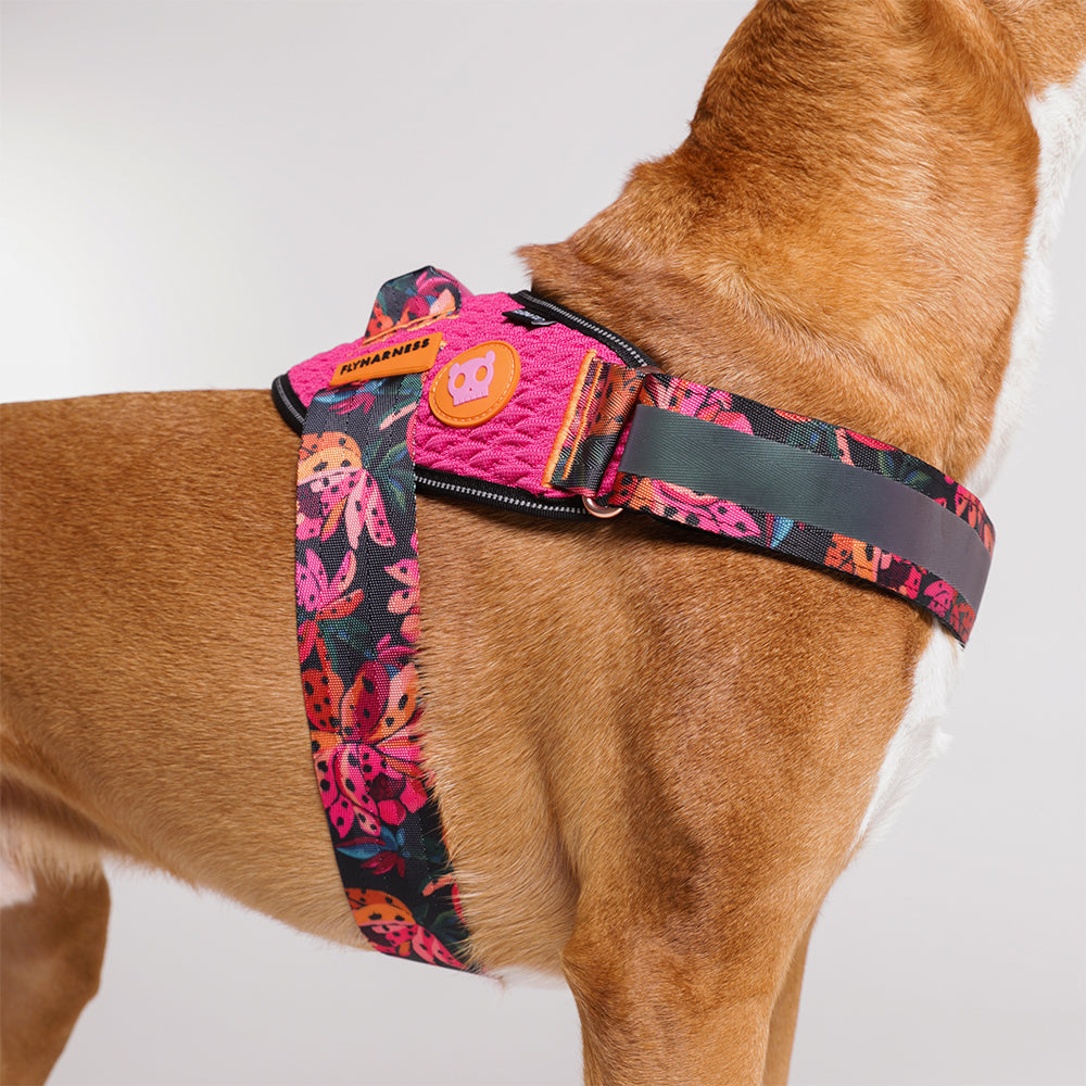 Farm Selva Flyharness