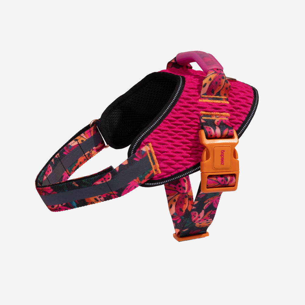 Farm Selva Flyharness
