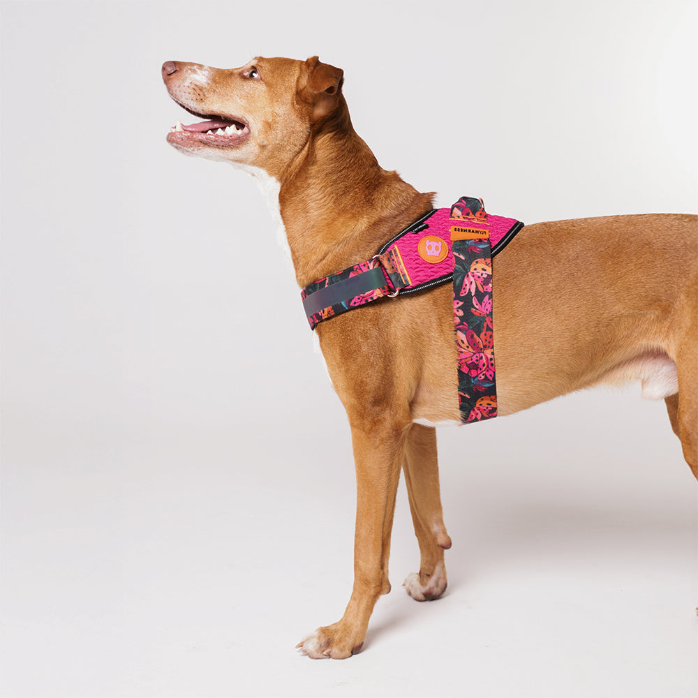 Farm Selva Flyharness