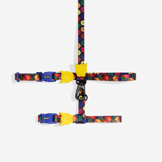 Farm Samba Harness + Leash Set