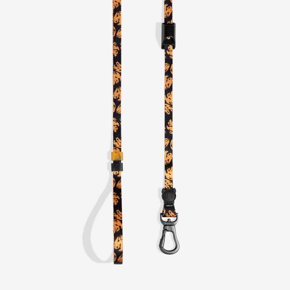 Farm Long Leash Bossa Banana