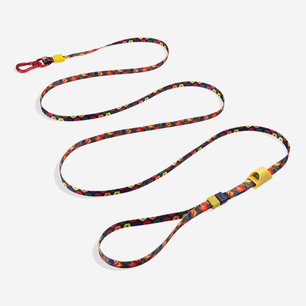 Farm Long Leash Samba
