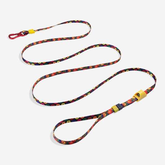 Farm Long Leash Samba