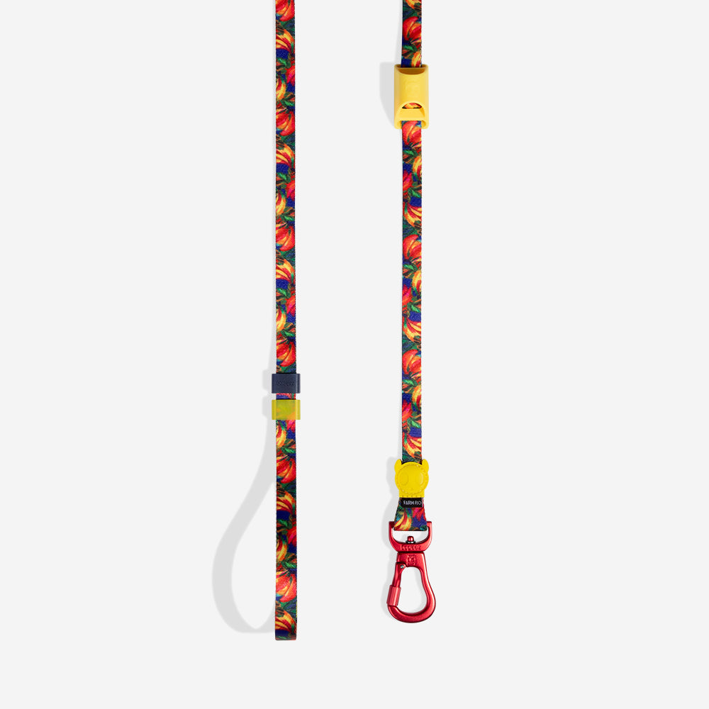 Farm Long Leash Samba