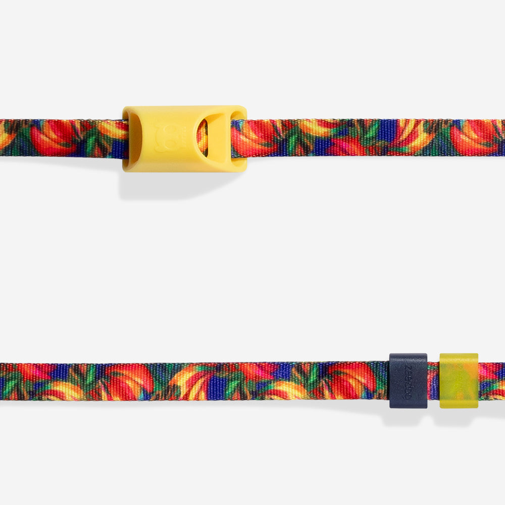 Farm Long Leash Samba