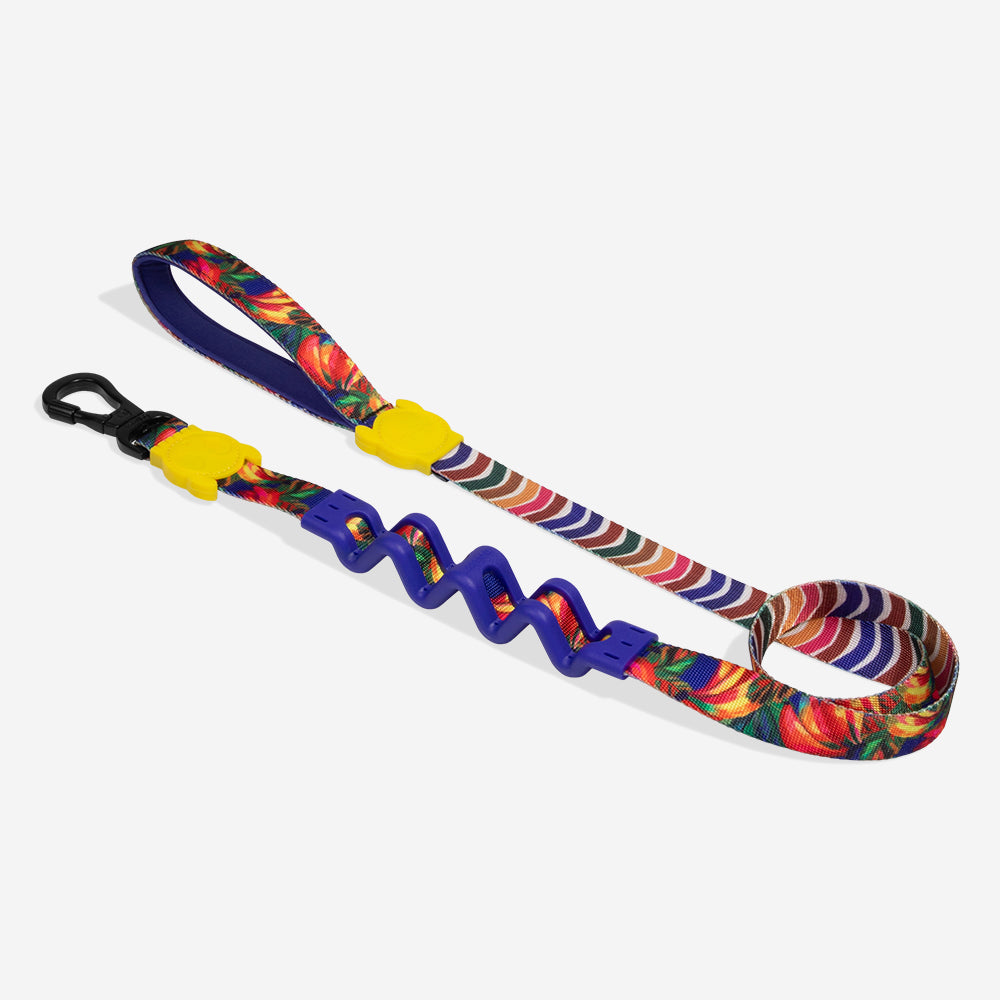 Farm Samba Ruff Leash