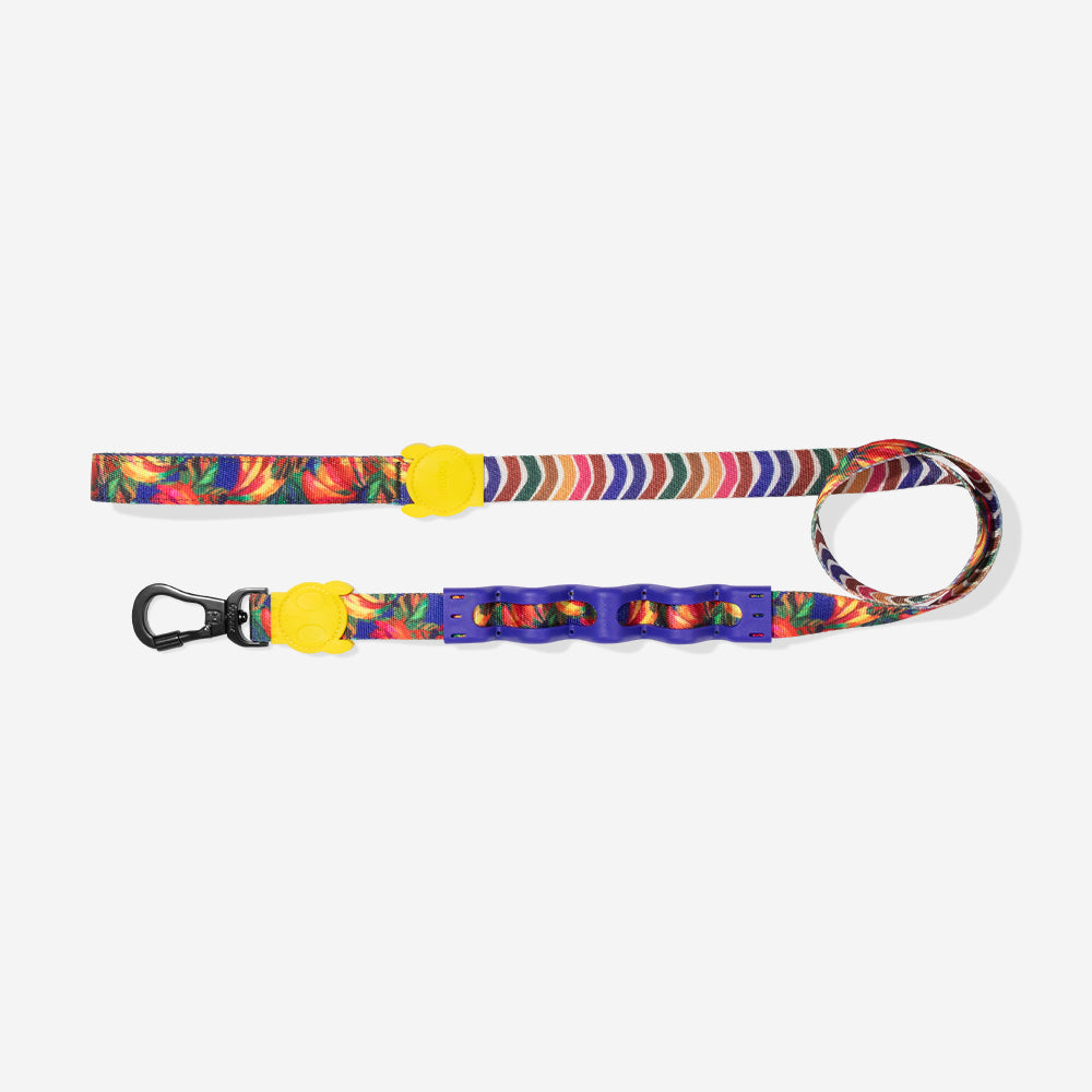 Farm Samba Ruff Leash