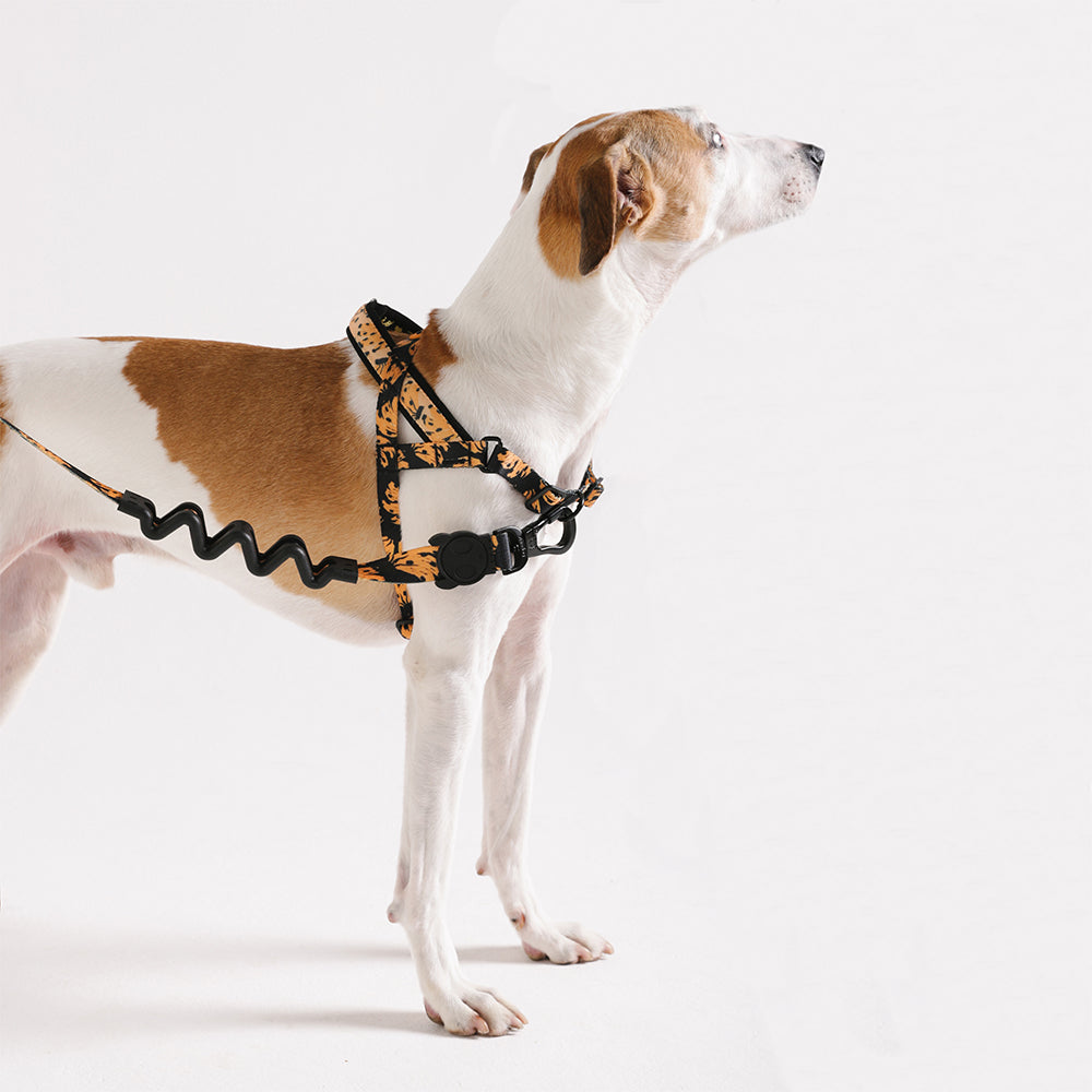 Farm Bossa Banana Softer Walk Harness