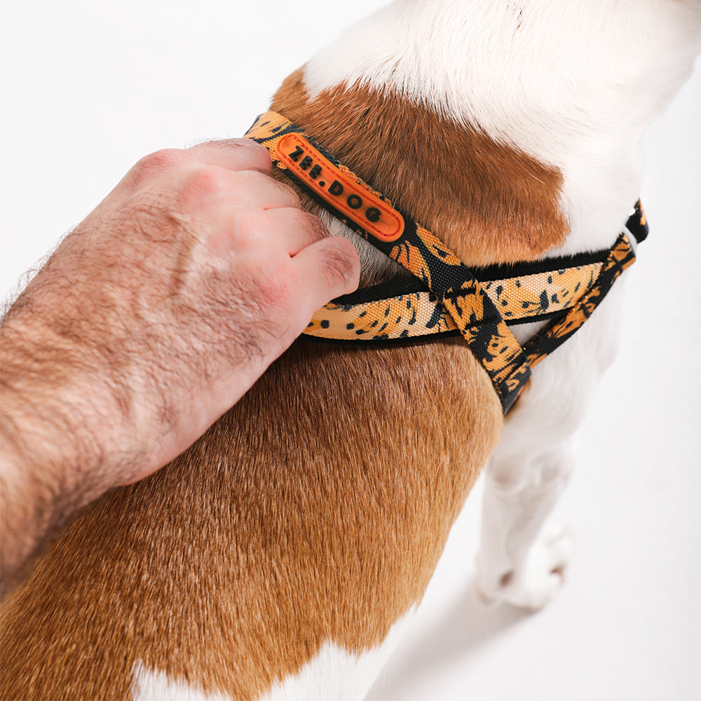 Farm Bossa Banana Softer Walk Harness