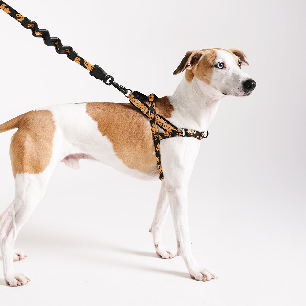 Farm Bossa Banana Softer Walk Harness