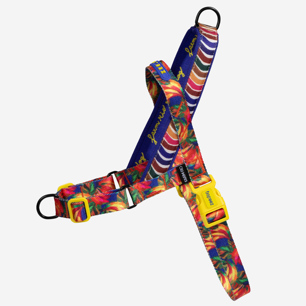 Farm Samba Softer Walk Harness