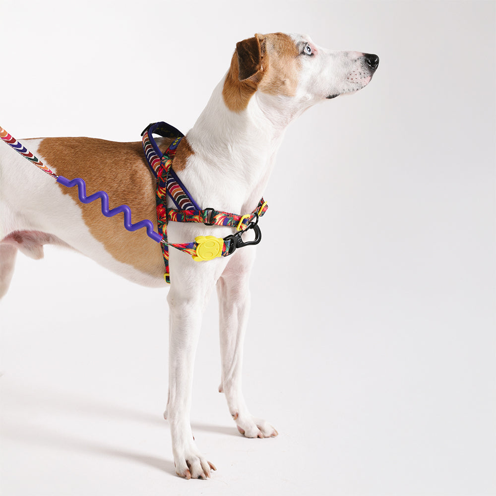 Farm Samba Softer Walk Harness